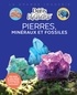 PIERRES, MINERAUX ET FOSSILES