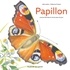 PAPILLON : UNE JOURNEE DANS LA VIE D'UN PAON DU JOUR