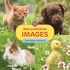 MES PREMIERES IMAGES - ADORABLES ANIMAUX (1-3 A.)