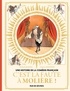 UNE HISTOIRE DE LA COMEDIE-FRANCAISE T1 - C'EST LA FAUTE A MOLIERE !