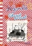 JOURNAL D'UN DEGONFLE - TOME 19 - CHAUD DEVANT - JOURNAL D'UN DEGONFLE, TOME 19