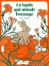 LE LAPIN QUI AIMAIT L'ORANGE