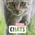 CHATS - MON IMAGIER DES ANIMAUX