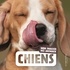 CHIENS - MON IMAGIER DES ANIMAUX