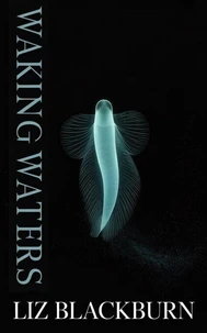 Waking Waters