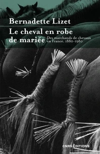 Le cheval en robe de mariée