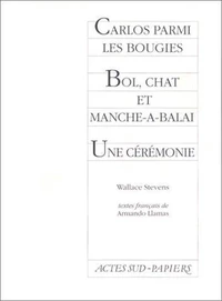 Carlos parmi les bougies. Bol, chat et manche-à-balai. Une Cérémonie