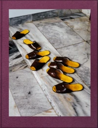 Through the Pale Dawn