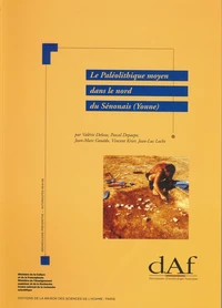 La Paleolithique Moyen Dans Le Nord Du Senonais (Yonne). Contexte Geomorphologique, Industries Lithiques Et Chronostratigraphie