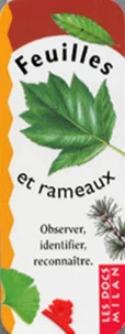 Feuilles Et Rameaux. Observer, Identifier, Reconnaitre