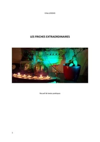 Les Friches extraordinaires