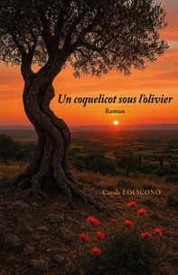 Un coquelicot sous l'olivier