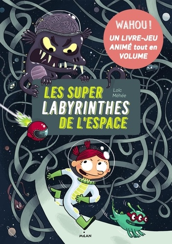 Loïc Méhée - Super labyrinthes de l'espace.