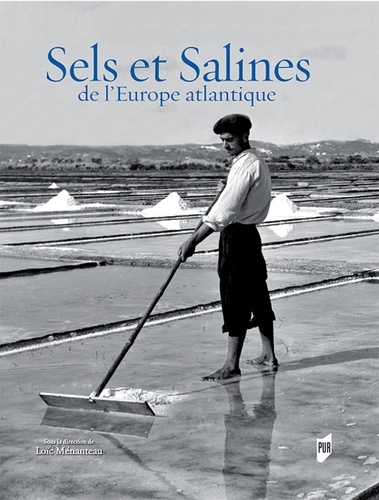 Loïc Ménanteau - Sels et salines de l'Europe Atlantique.