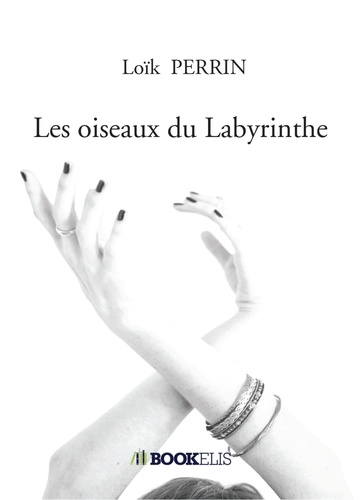 Loïk Perrin - Les oiseaux du Labyrinthe.