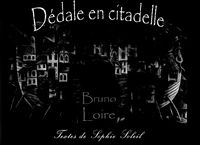 Dédale en citadelle