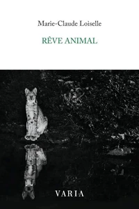 Reve animal