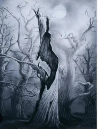 Amongst the oaks: A night terror