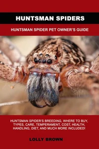 Huntsman Spiders