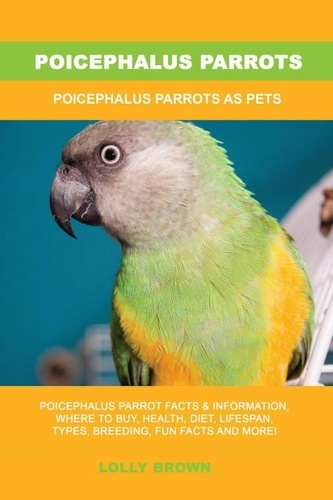  Lolly Brown - Poicephalus Parrots.