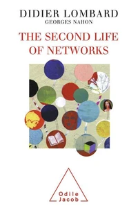 The Second Life of Networks