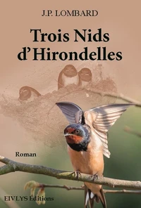 Trois nids d'hirondelles
