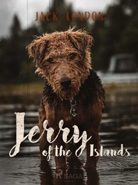 Jerry of the Islands