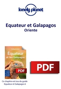 Amazon livre télécharger comment crack allumer GUIDE DE VOYAGE DJVU MOBI (French Edition) 9782384921911