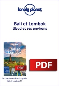 Meilleurs livres gratuits à télécharger sur ibooks GUIDE DE VOYAGE 9782816187380 in French