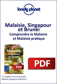 Téléchargez des livres gratuitement sur un ordinateur portable Malaisie, Singapour et Brunei - Comprendre la Malaisie et Malaisie pratique (French Edition) 