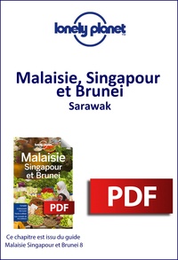 Ebooks téléchargement légal Malaisie, Singapour et Brunei - Sarawak 9782816165067  par Lonely Planet