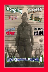 Stepping Between The Ants - Book ONE: The Winter Escape