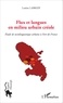 Lorène Labridy - Flux et langues en milieu urbain créole - Etude de sociolinguistique urbaine à Fort-de-France.