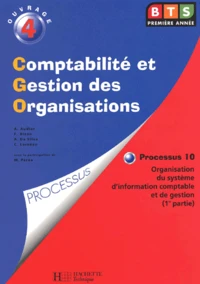 Comptabilite Et Gestion Des Organisations. Processus 10, Organisation Du Systeme D'Information Comptable Et De Gestion (1ere Partie)