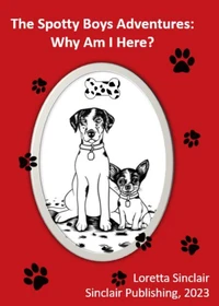 The Spotty Boys Adventures: Why Am I Here?