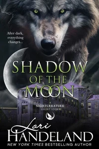 Shadow of the Moon