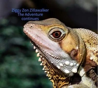 Ziggy Zon Zillawalker The Adventure Continues