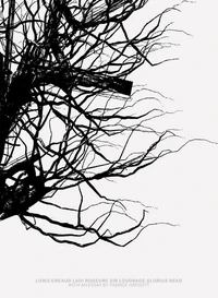 Loris greaud