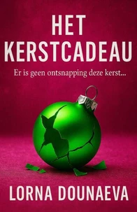 Het Kerstcadeau