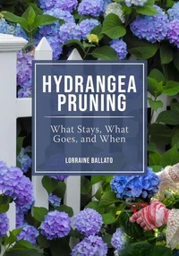 Hydrangea Pruning: What Stays, What Goes, and When