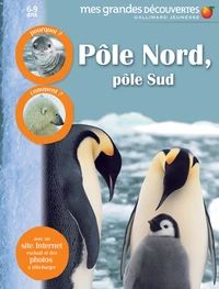 Pôle Nord, pôle Sud