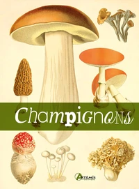 Champignons