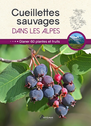  Losange et Philippe Chavanne - Cueillettes sauvages dans les Alpes - 60 plantes et fruits à glaner.