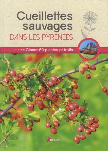  Losange - Cueillettes sauvages dans les Pyrénées - 60 plantes et fruits à glaner.