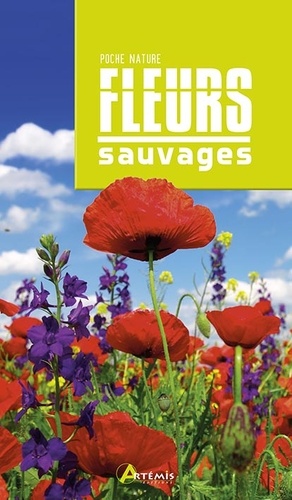 Fleurs sauvages