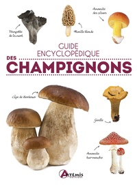  Losange - Guide encyclopédique des champignons.