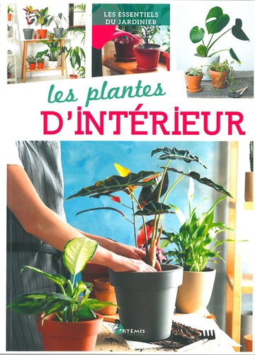 Les plantes d'intérieur