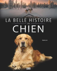La belle histoire du chien