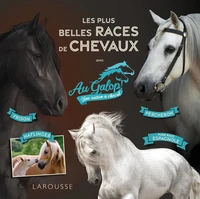Les plus belles races de chevaux