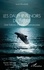 Les dauphins noirs du fleuve. Une histoire d’amour casamançaise